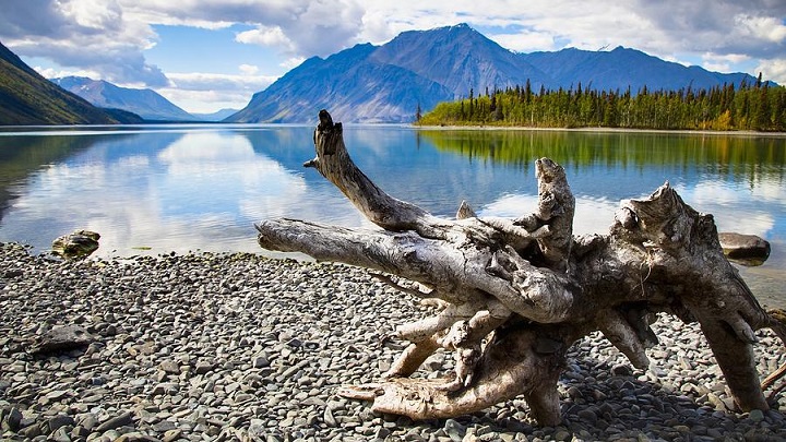 Parque-Nacional-Kluane