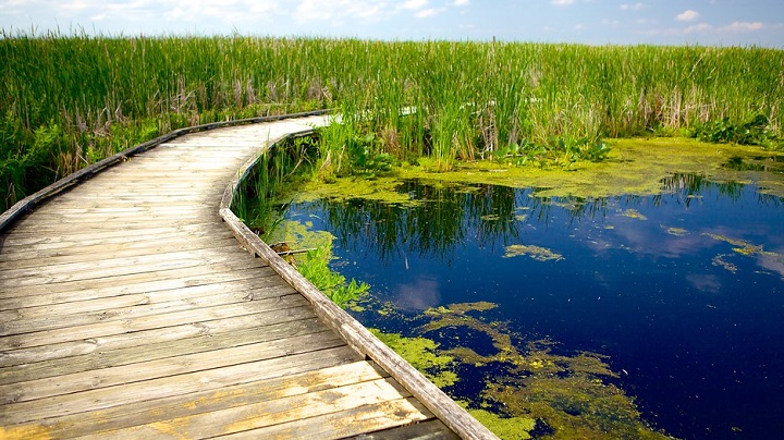 Parque-Nacional-Point-Pelee