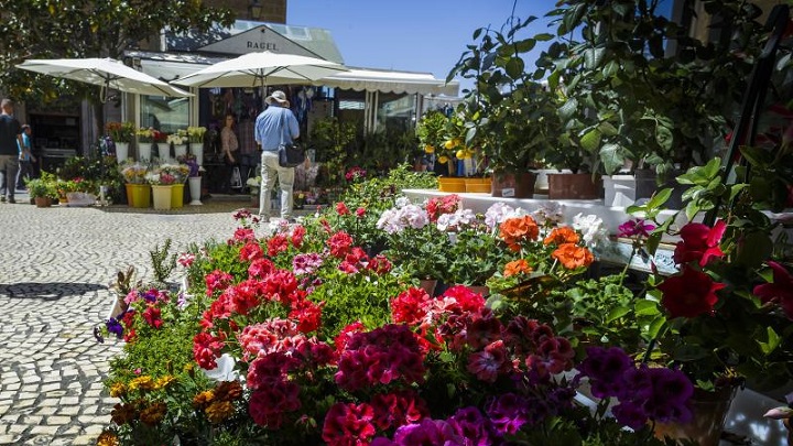 Plaza-de-las-Flores