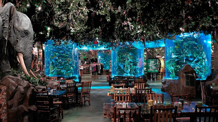 Rainforest-Cafe