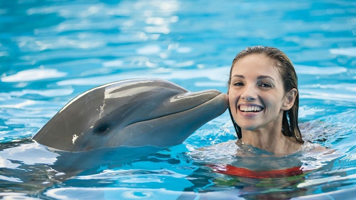 delfines