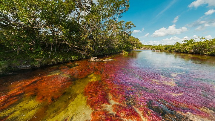 Cano-Cristales