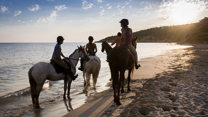 excursion-caballo