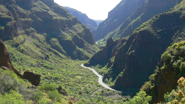 Barranco-de-Guayadeque