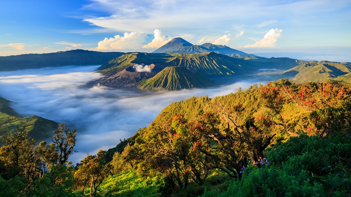 Indonesia