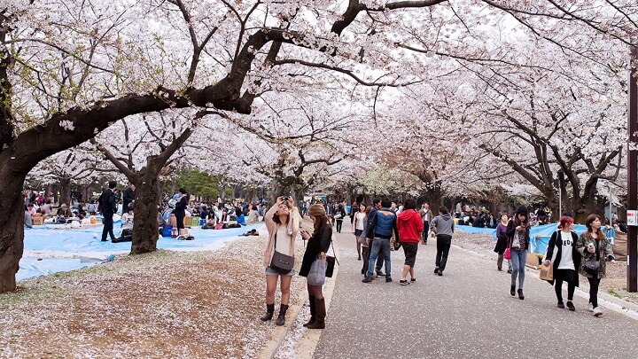 Parque-Yoyogi