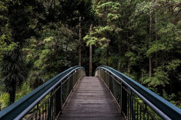 puente-en-plena-naturaleza