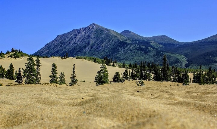 Carcross-Desert-arena