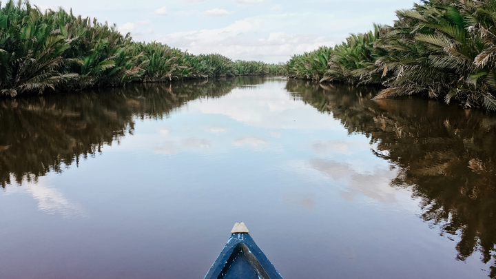 borneo