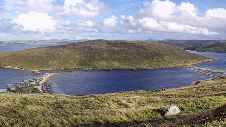 cuevas-escocia