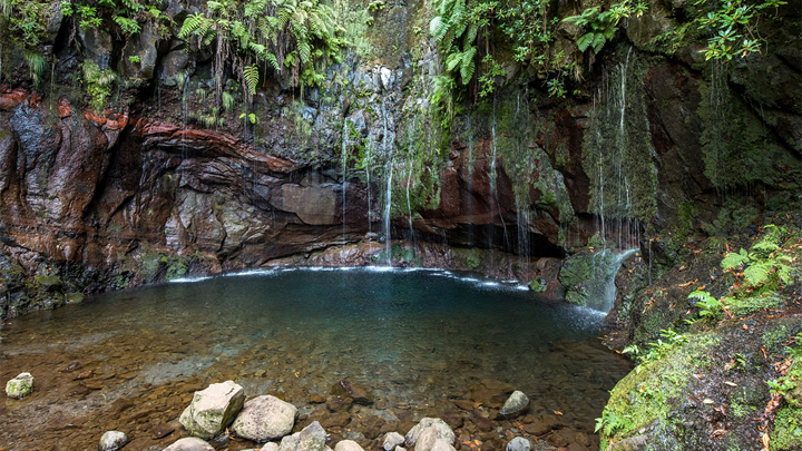 madeira 