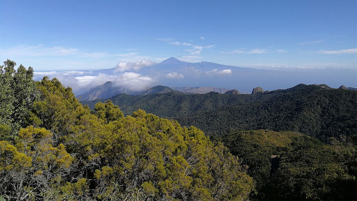 gomera