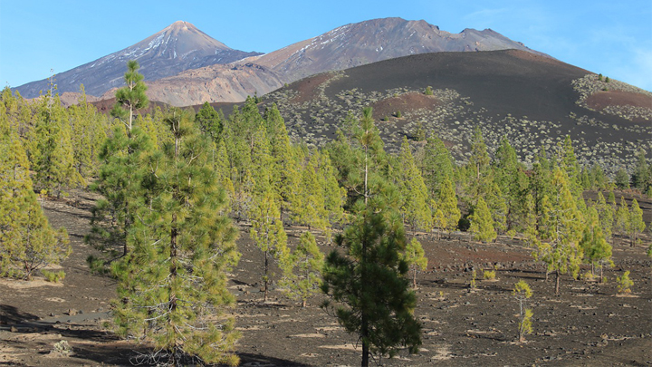 senderismo-teide