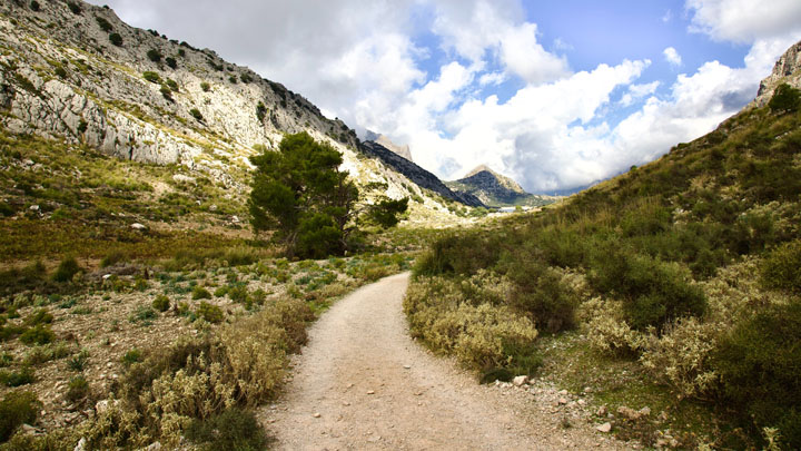 canarias