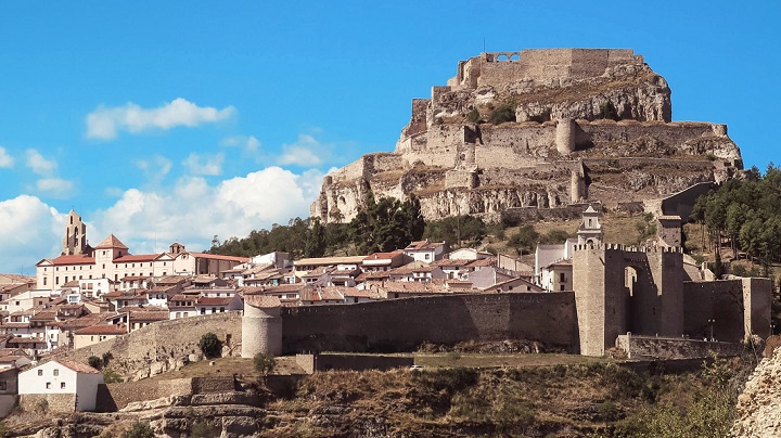 Morella