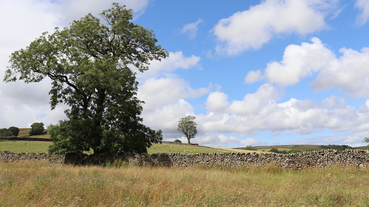 yorkshiere-dales