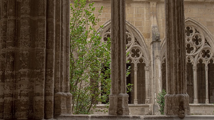 catedral-de-oviedo