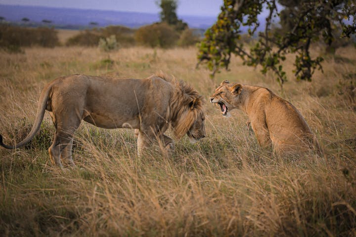 viajar-a-kenia