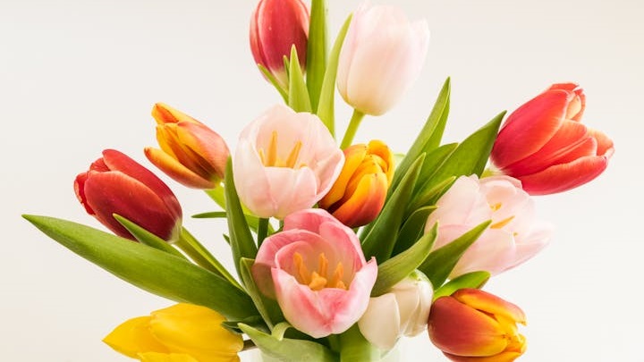 bello-ramo-de-tulipanes