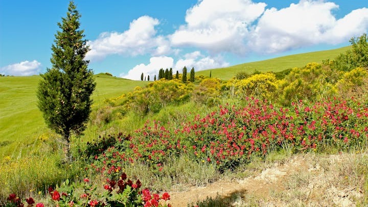 toscana-italiana